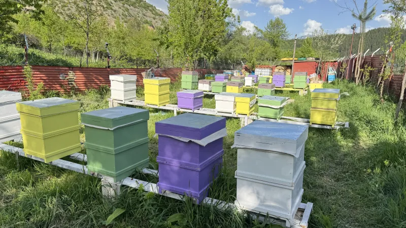 İki kovanla başladı, arıcılıkta kendi markasını yarattı; 1,5 tona yakın bal bekliyor