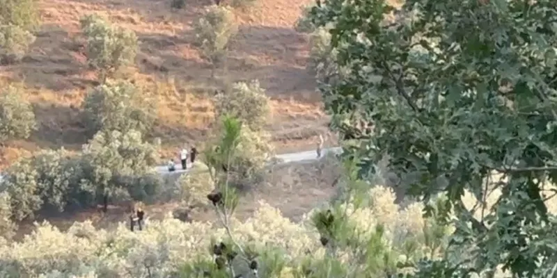 İmamoğlu'nun babasına ait denilen arazideki 'aramalarda' ikinci gün! Hala resmi açıklama yok