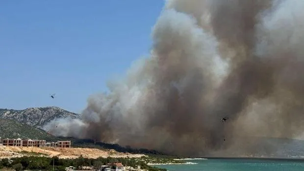 İzmir'de korkutan orman yangını