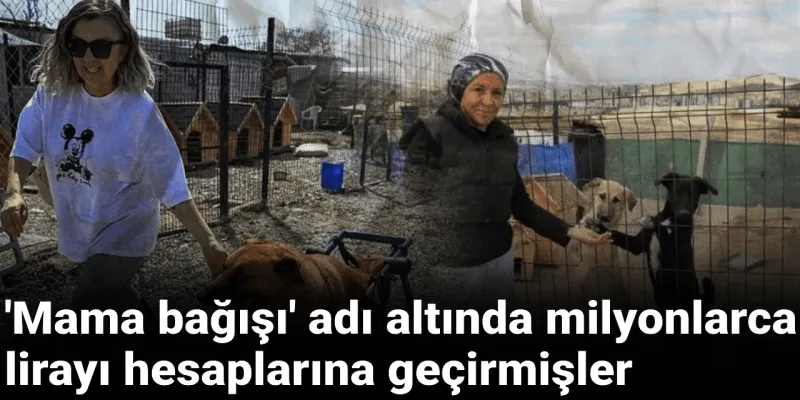 'Mama bağışı' adı altında milyonlarca lirayı hesaplarına geçirmişler