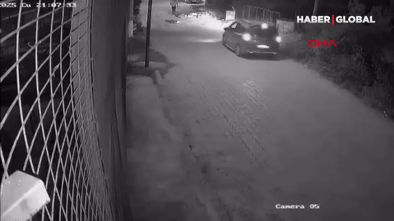 Manisa'da sokak köpeğine çarpan motosiklet sürücüsü can verdi