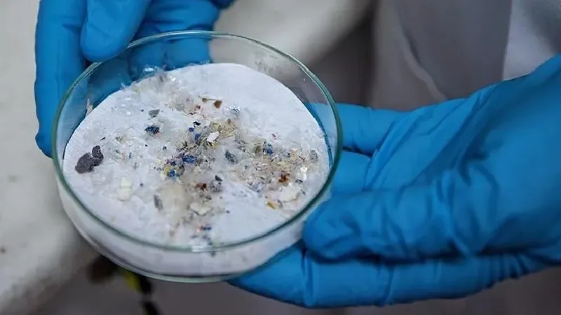 Mikroplastikler sağlığı tehdit ediyor; “Kalp, beyin ve böbreklerimizde bile var!"