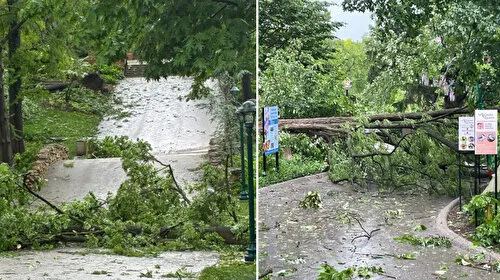 ABD'de Fırtına Felaketi: 5 Ölü! Son Dakika Gelişmeler