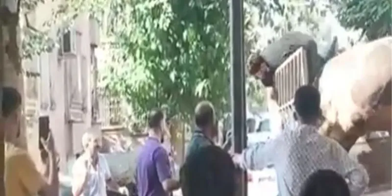Öfkeli boğa kasabı boynuzlarıyla savurdu