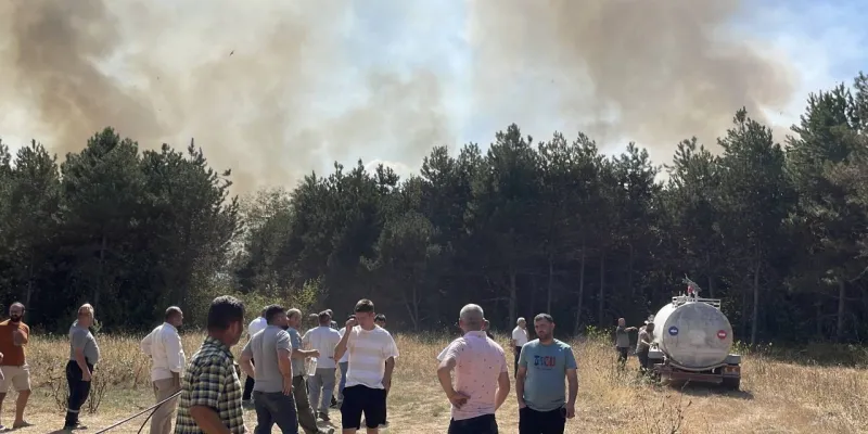 Sakarya'daki orman yangını kontrol altında
