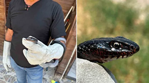 Tunceli'de Tuvalette Karayılan! Sonrası Şoke Etti