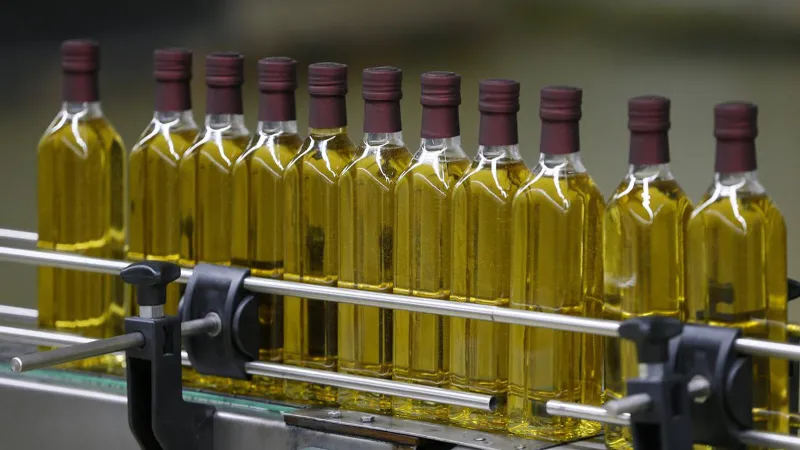 Üretici sıfır çekti! Zeytinyağında 'hiç yok' yılı