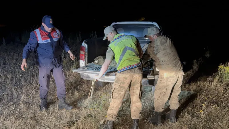 Van'da kaçak avlanan 1 ton 500 kilogram inci kefali suya geri bırakıldı