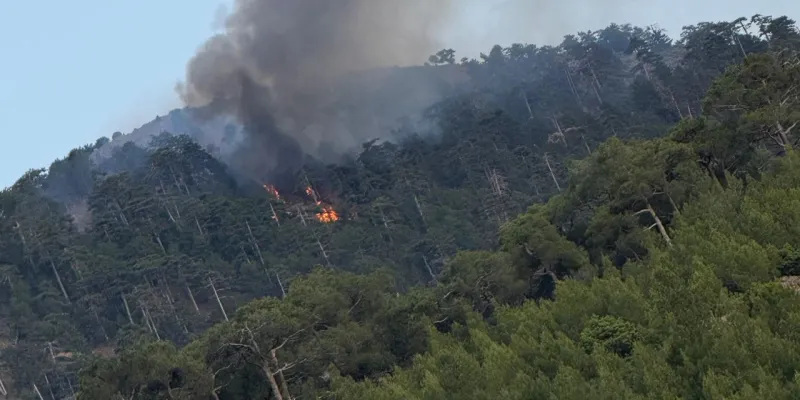 Yıldırım Ormanı Yaktı! Denizli'de Korkutan Yangın!