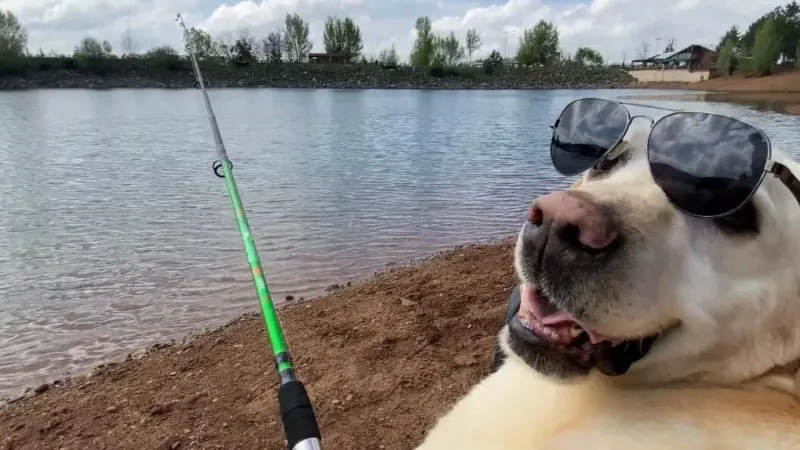 Yozgat'ta jandarmanın iz takip köpeği "Dost" emekli oldu