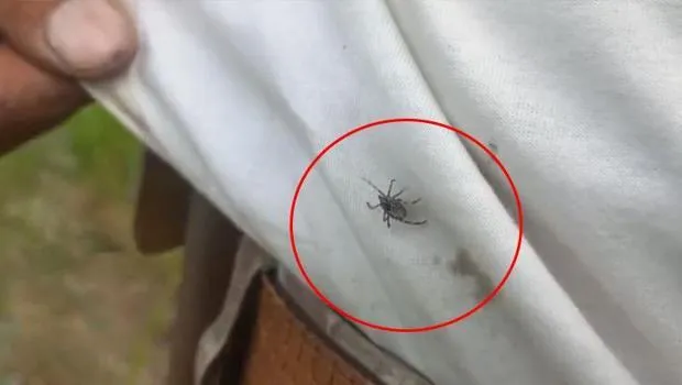 Yozgat’ta son 3 yılda artış oldu! 'Radarına girince kaçamıyorsun'